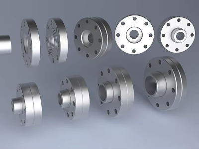 Various Sizes and Designs of Stainless Steel Pipe Flanges for Industrial Applications 3d model