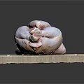 Fresh Raw Chicken Placed on Wooden Cutting Board for Preparation