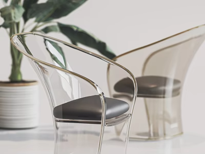 Transparent Leisure Chair With Gold Frame And Black Cushion Near Green Plant 3d model