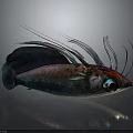 Vibrant Colorful Fish with Long Tentacles Large Expressive Eyes Metallic Sheen and Dark Background Reflection