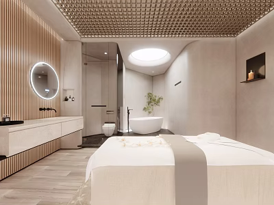 Modern Beauty and Hair Salon Interior With Treatment Bed Bathtub And Mirror 3d model