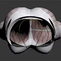 White Bra And White Leggings With Pink Patterns Fashion Apparel Design