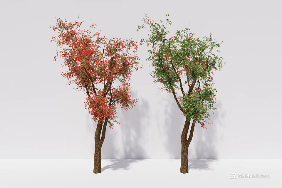 Two Arbor Trees with Red and Green Foliage and Brown Trunks on White Background 3d model 