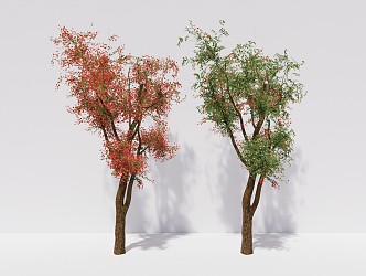 Modern Trees Sapium Trees 3d model