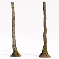 Two Slender Arbor Tree Trunks With Natural Bark Texture And Root Bases 3d model