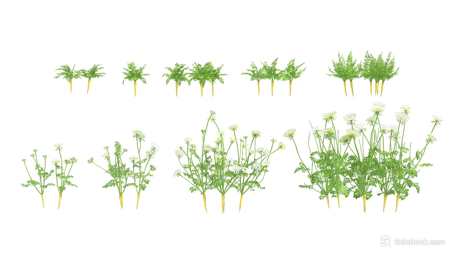 Various Fresh Green Vegetable Plants With Different Leaf Shapes And Stems 3d model 