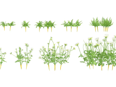 Various Fresh Green Vegetable Plants With Different Leaf Shapes And Stems 3d model