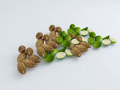 Fresh Green Flowering Plant Fruits With Brown Seeds On White Background 3d model