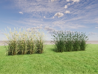 Modern reed rural agricultural landscape 3d model