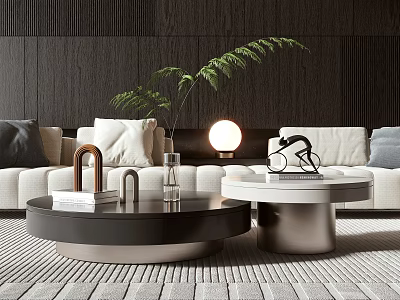 Modern Living Room Interior With Round Coffee Tables Black Light Colored And Metal Decor Books 3d model