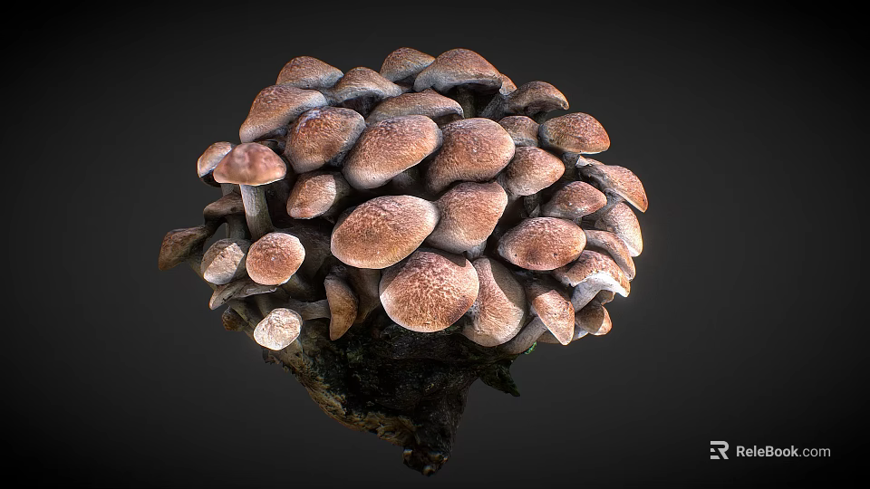 Fresh Brown Mushrooms Cluster With Natural Texture And Organic Appearance 3d model 