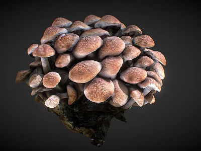 Fresh Brown Mushrooms Cluster With Natural Texture And Organic Appearance 3d model