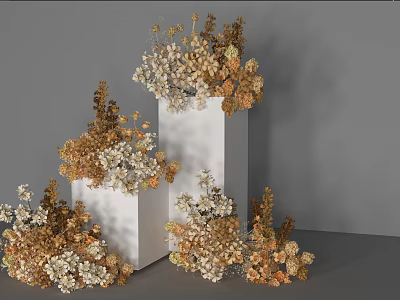 Golden And White Dried Flowers Decorative Display On White Cube Stands 3d model
