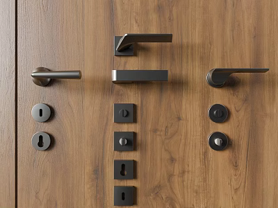 Modern Door Handles With Various Lock Sets On Wooden Wall 3d model