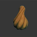 Fresh Ripe Twisted Squash With Orange Green Striped Surface For Healthy Cooking