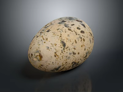 Natural Spotted Quail Egg Fresh Organic Household Daily Life Product 3d model