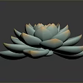 Beautiful Blue Green Succulent with Soft Petals and Orange Edges on Black Background