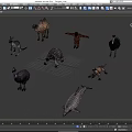 Animal Mammal Low Model Animal Low Face Number Animal Game Animal Simple Model Realistic Animal Camel Kangaroo Ostrich Turtle Lizard 3d model
