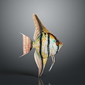 Modern Fish Swallow Yellow Tail Blue Devil Blue Devil Swallow Childe Clown 3d model