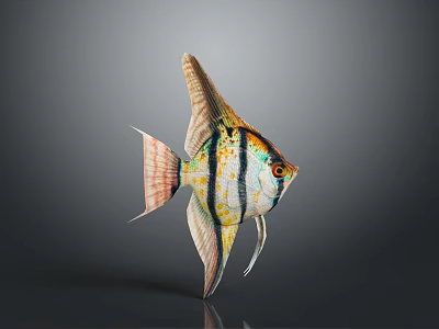 Colorful Tropical Angelfish Featuring Striped Body Vibrant Fins And Distinct Eye Markings 3d model