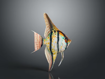 Modern Fish Swallow Yellow Tail Blue Devil Blue Devil Swallow Childe Clown 3d model