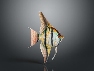 Modern Fish Swallow Yellow Tail Blue Devil Blue Devil Swallow Childe Clown 3d model