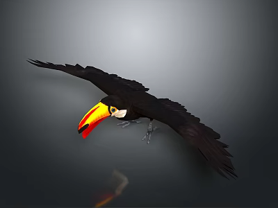 Toucan Flying With Vibrant Beak And Black Feathers On Dark Background 3d model