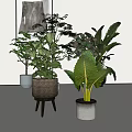 Stylish Indoor Potted Plants With Various Decorative Pots For Home Decor