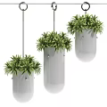 Modern Hanging Planters With Lush Green Foliage And White Ceramic Design For Indoor Decor