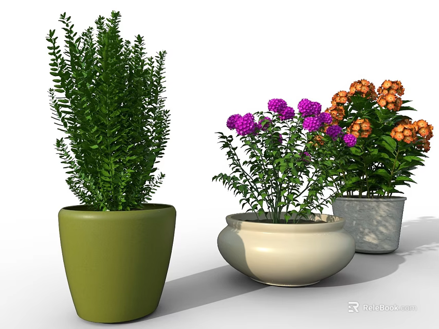 Bonsai Potted Plants with Green Shrubs Purple Flowers and Orange Blooms in Colorful Pots 3d model 