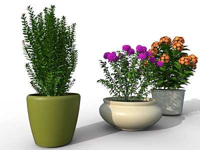 Bonsai Potted Plants with Green Shrubs Purple Flowers and Orange Blooms in Colorful Pots 3d model
