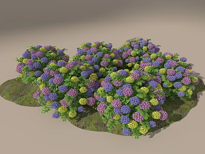 Vibrant Purple Blue Yellow Hydrangea Flowers Growing On Green Grass 3d model