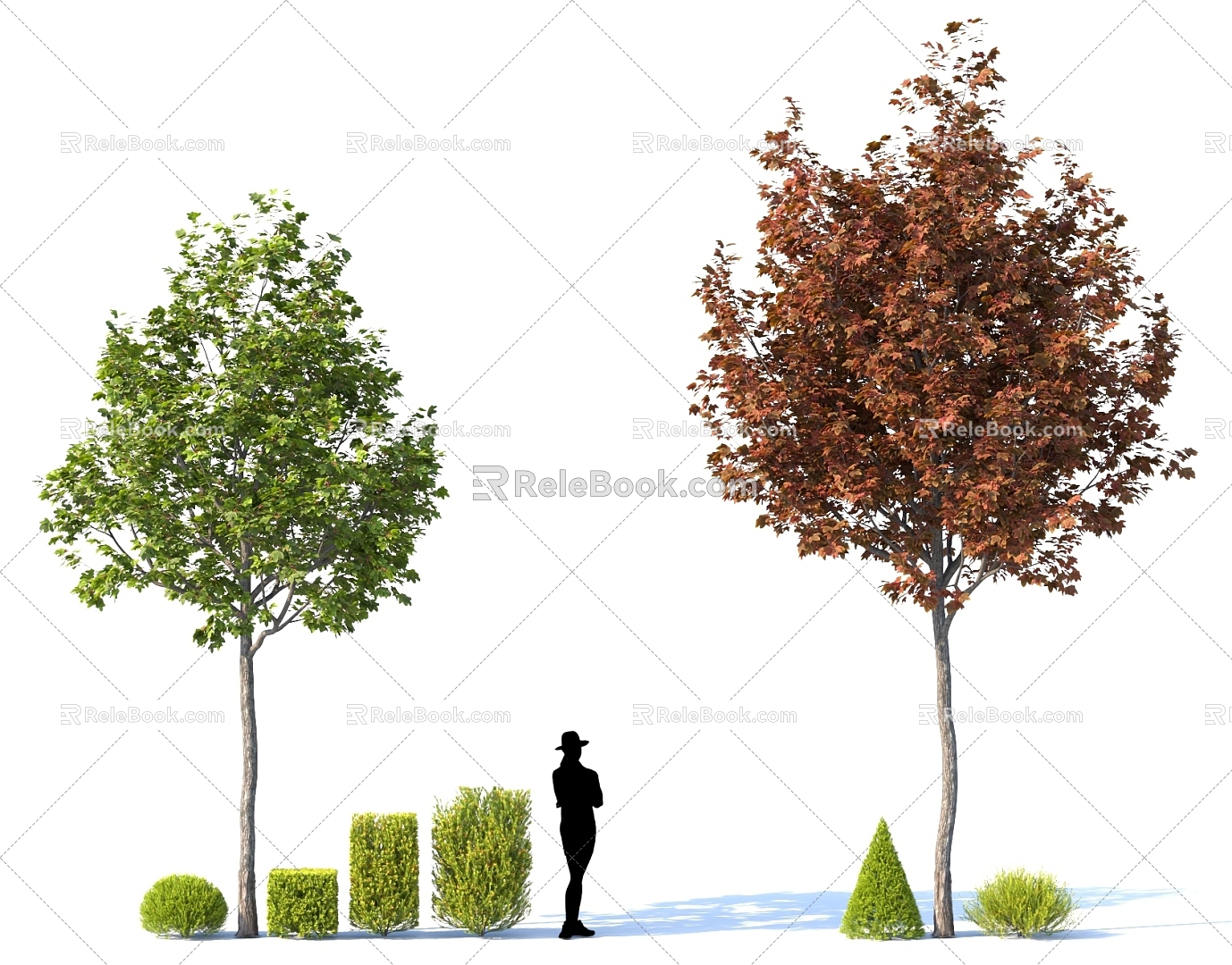 Landscape Shrub Ball High Pole Street Tree Maple Tree Pond Group Species Alien Plants 3d model