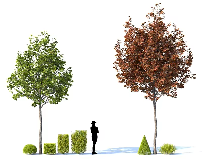Various Shaped Pruned Garden Shrubs With Green And Brown Trees And Silhouette Figure 3d model