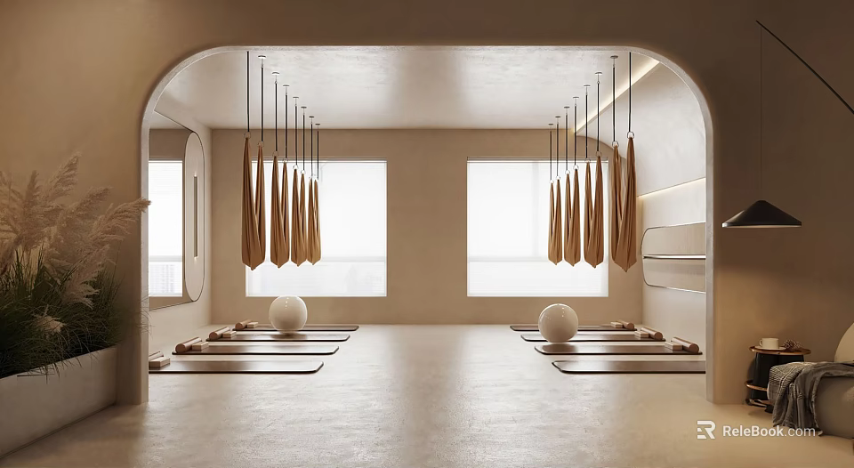 Bright Arched Yoga Studio with Hanging Hammocks Yoga Mats and Balls 3d model 