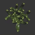 Green Cactus Plant With Multiple Branches And Yellow Spines On Black Background