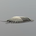 Silver Prehistoric Creature Model With Striped Exoskeleton And Tail Spikes 3d model