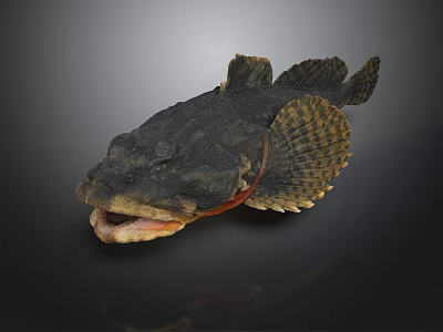 Unique Aquatic Animal With Large Open Mouth Rough Dark Skin And Distinct Fins 3d model