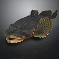 Unique Aquatic Animal With Large Open Mouth Rough Dark Skin And Distinct Fins