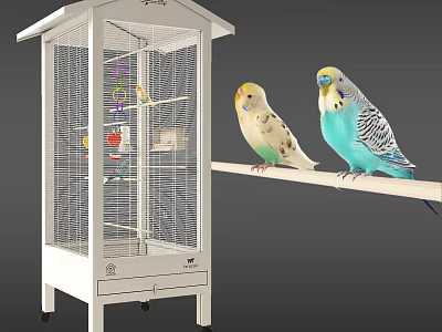 Decorative Birdcage Ornament Set with Colorful Toys and Yellow Green Blue White Parakeets on Perch 3d model