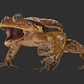 Realistic 3D Frog Model With Open Mouth And Textured Brown Yellow Skin