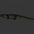 Realistic Reptile Crocodile With Detailed Scaled Skin Natural Posture Isolated On Gray Background