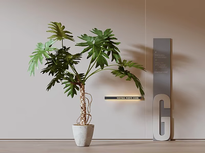 Lush Indoor Bonsai Plant With Green Leaves In White Ceramic Pot For Modern Home Decoration 3d model