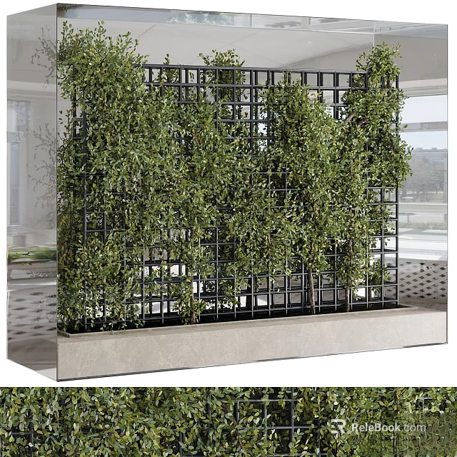 Lush Green Vines Growing On Black Metal Grid Frame As Indoor Decorative Partition 3d model 