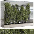 Lush Green Vines Growing On Black Metal Grid Frame As Indoor Decorative Partition