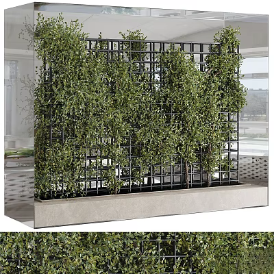 Lush Green Vines Growing On Black Metal Grid Frame As Indoor Decorative Partition 3d model