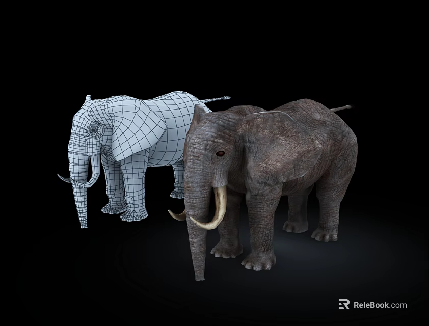 Reptile 3D Models Showcasing Wireframe And Solid Textures On Black Background 3d model