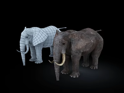 Reptile 3D Models Showcasing Wireframe And Solid Textures On Black Background 3d model