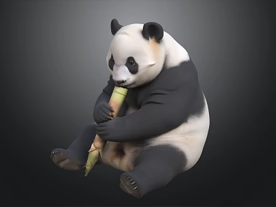 Cute Giant Panda Sitting And Eating Fresh Bamboo Shoot On Gray Background 3d model