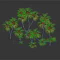 Multiple Palm Trees With Various Heights And Green Fronds Against Dark Background